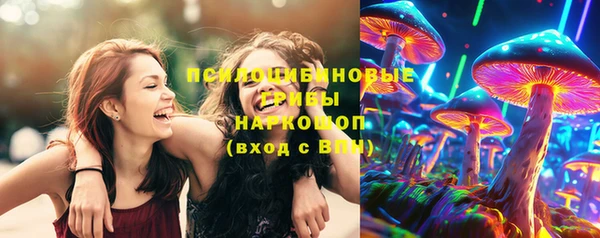 МДПВ Ладушкин