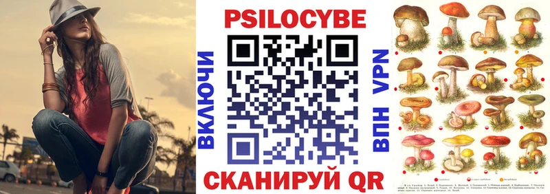 Галлюциногенные грибы Psilocybine cubensis  Тбилисская 